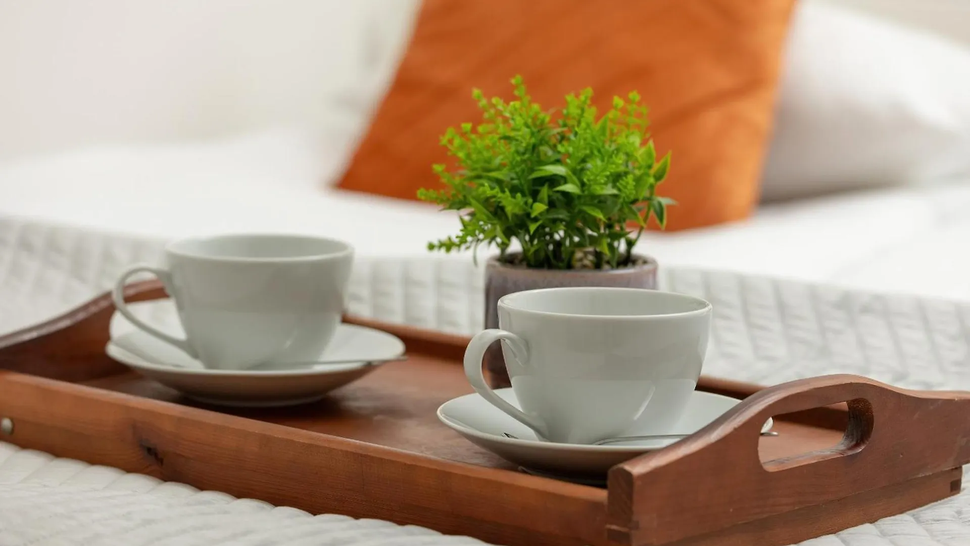 Apartment With Garden In Krakow By Noclegi Renters